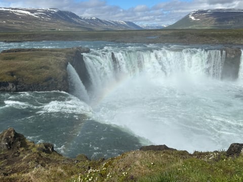 Have it your way: Half-Day Private Tour (Up to 4.5 Hours), photo 3