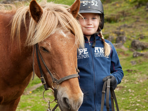 Horses and Waffles, photo 5