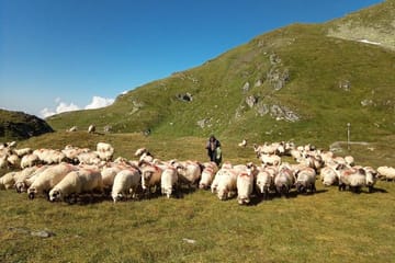 Private Hiking Expedition in Fagaras Mountains from Brașov