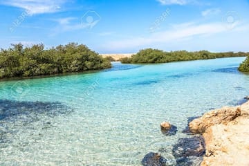 Snorkeling Adventure at Ras Mohamed National Park, Egypt