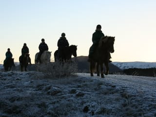 Viking Tour , photo 11