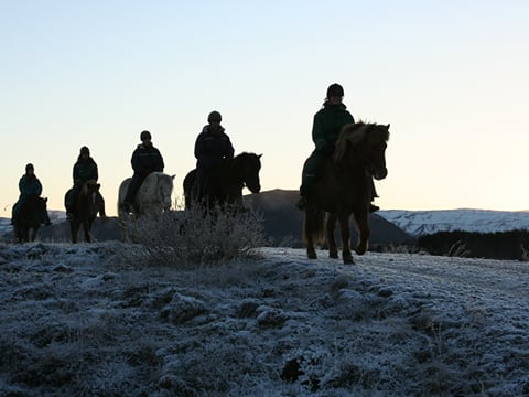 Viking Tour , photo 11