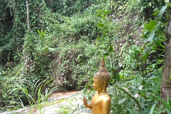 3-Hour Hike round trip Monk Trail to Wat Doi Suthep from Chiang Mai 6