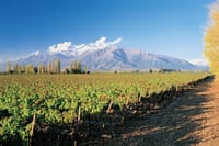 3 Day Private Santiago City & Casablanca Valley Wine Tour 1