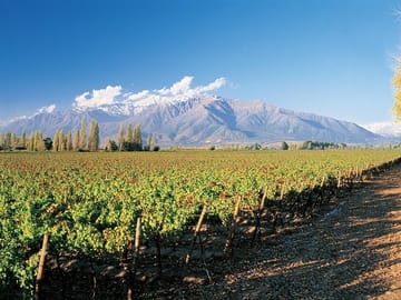 Private 3-Day Santiago City and Casablanca Valley Tour