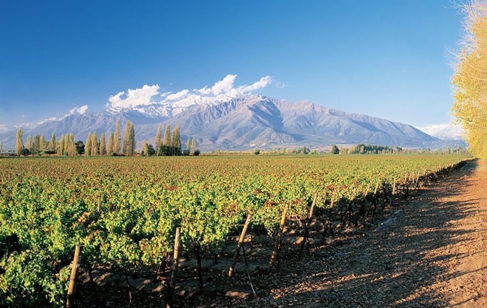 3 Day Private Santiago City & Casablanca Valley Wine Tour