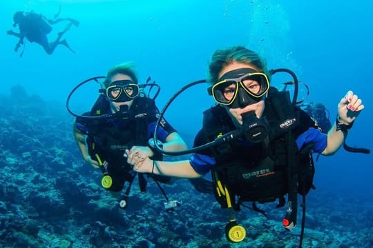 Scuba Diving Experience Tour from Side