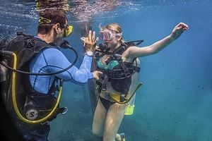 Learn to Dive - Puerto Vallarta Beginners Scuba Course