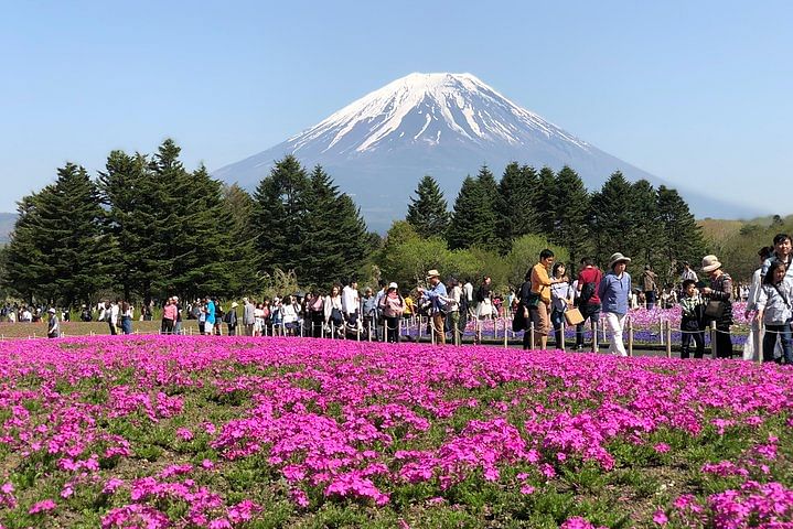 Mt Fuji and Gotemba Outlet tour from Tokyo