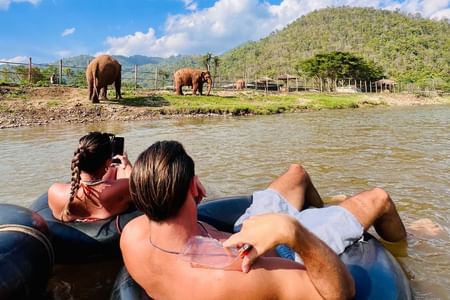 Tubing, Waterfall, Elephant & Dormitory Adventure