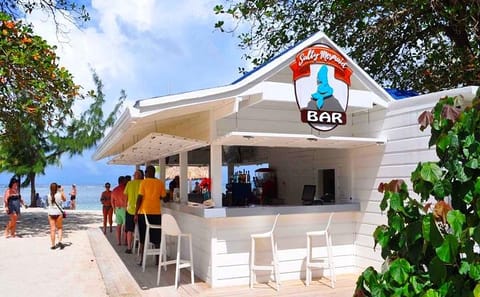 Roatan Highlights and Beach Day at Sol y Mar Club