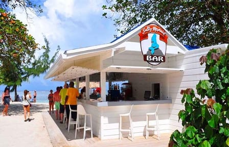 Roatan Highlights and Beach Day at Sol y Mar Club