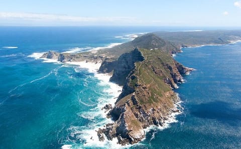 Cape Peninsula Tour: Table Mountain and Penguin Colony Experience