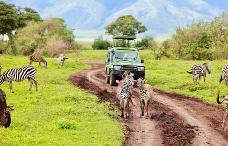 6Days Lake Manyara Serengeti Ngorongoro &Tarangire Budget Safari