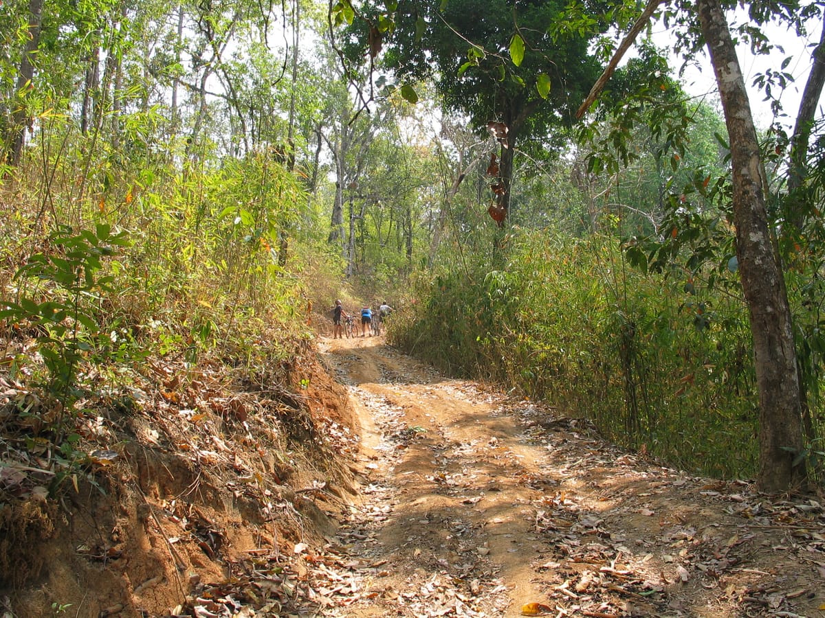 Chiang mai Suthep National Park Leisure Hiking & Mountain Biking