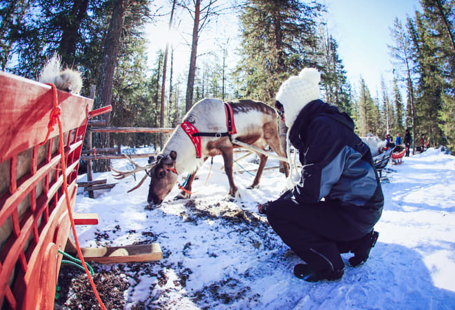 Snowmobile Safari to Reindeer Farm - Rovaniemi 7