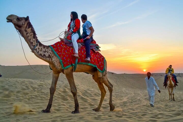 One Hour Camel Riding Adventure With transfer From Hurghada