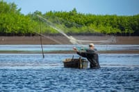 Day Tour Between Mangroves, Fishing & Black Sand Beach Activities + Lunch 6