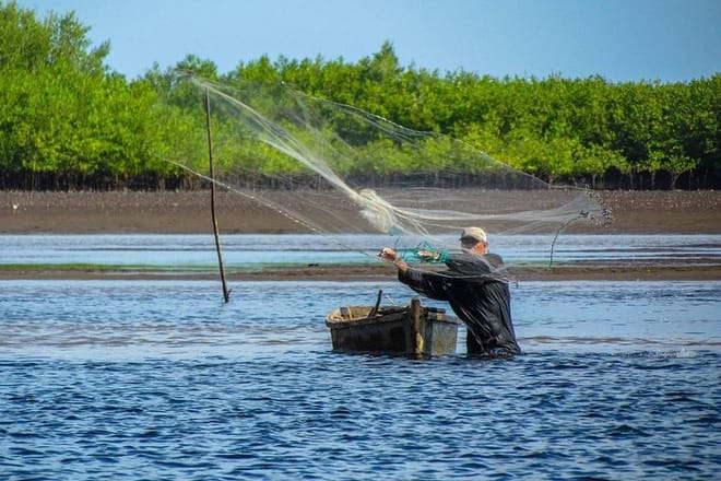 Day Tour Between Mangroves, Fishing & Black Sand Beach Activities + Lunch photo 6