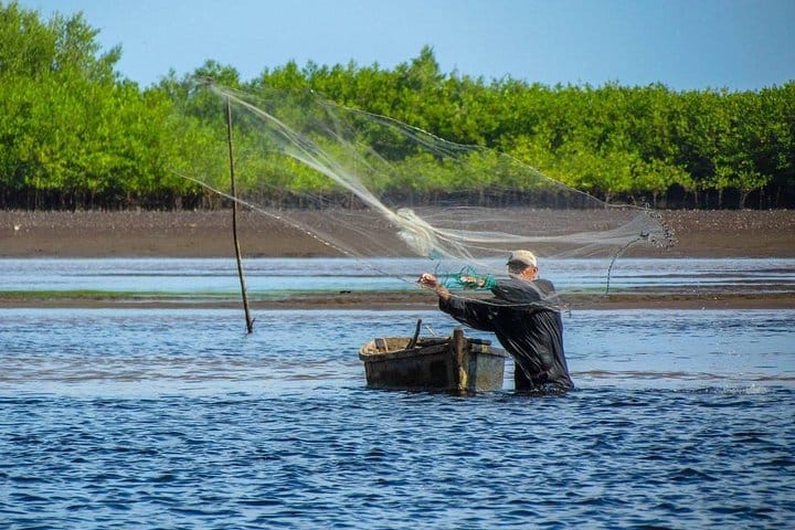 Day Tour Between Mangroves, Fishing & Black Sand Beach Activities + Lunch 6