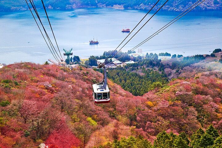 Mount Fuji and Hakone Private Day Trip by Car/Van - in English