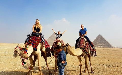 Sightseeing Day Tour to Egyptian Museum , Giza Pyramids, and Bazaar from Cairo