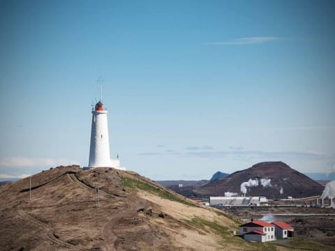 Reykjanes Peninsula Private Tour, photo 5
