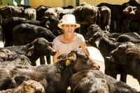 Rural Coffee Farm Tour with Breakfast & Lunch - Roasting & Tasting Experience 4