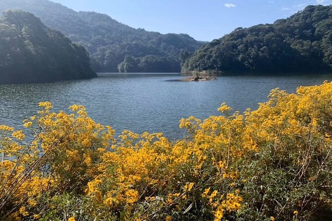 Private Day Tour to Shimen National Park from Guangzhou + Seasonal Fruit Pickup 7