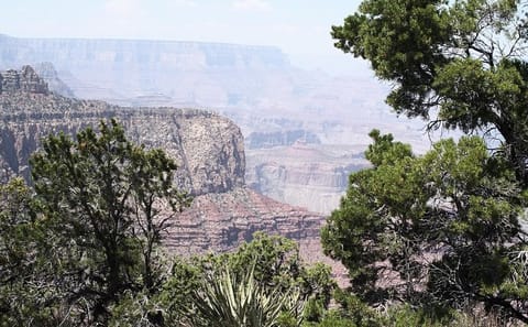 Private Day Trip to the Grand Canyon from Sedona
