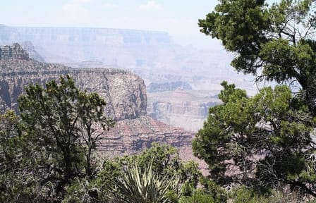 Private Day Trip to the Grand Canyon from Sedona