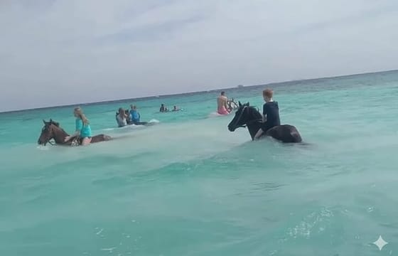 Horse Riding Experience – Desert, Beach & Swimming – Hurghada
