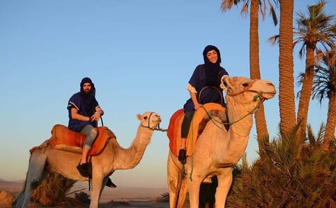 Quad Biking and Camel Ride Adventure in Marrakech