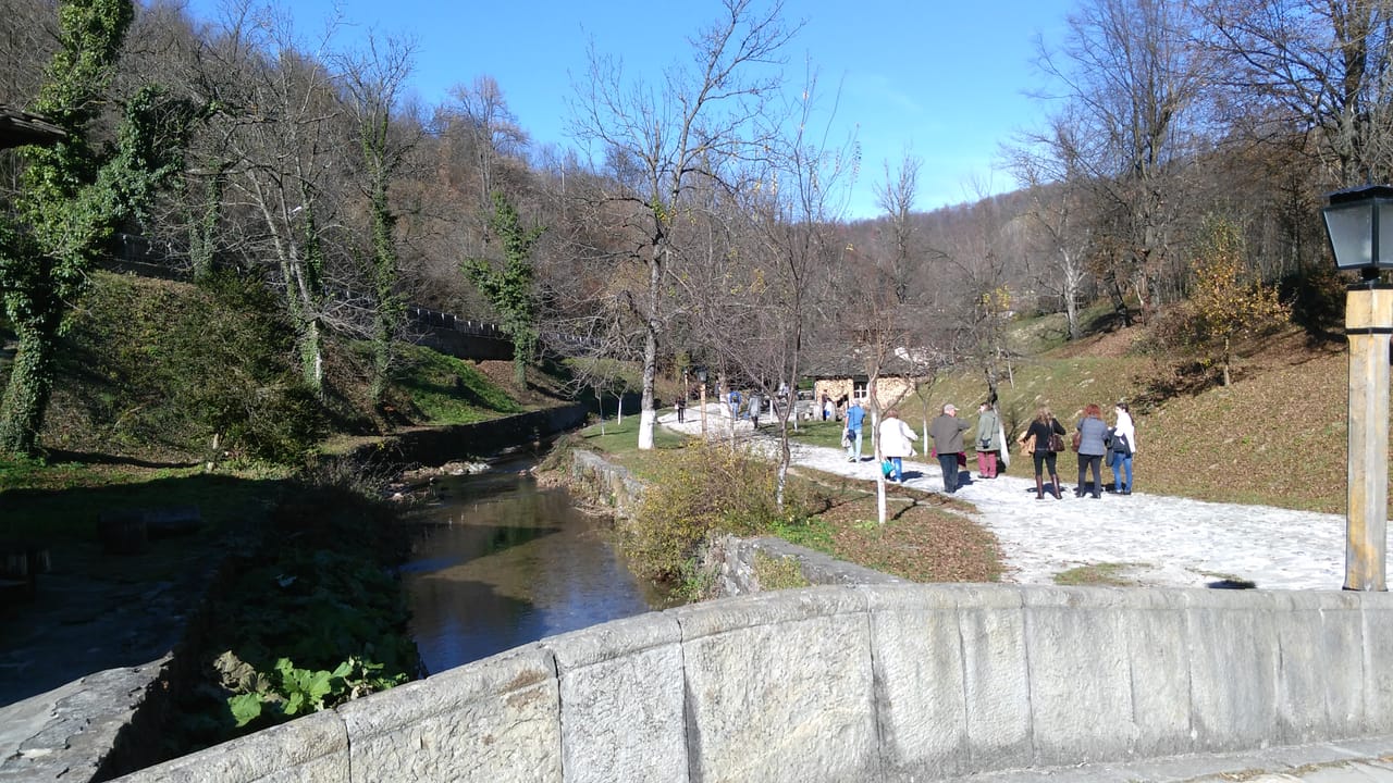 Skip the Line: Tour in Open Air Ethnographic Museum ETAR + ticket 10