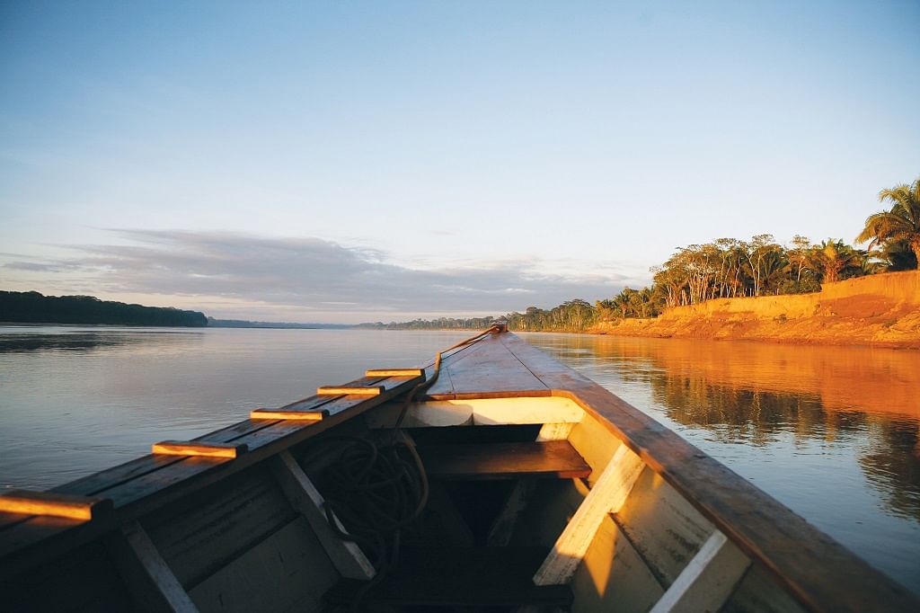 Explore the Amazon: Wildlife Adventures in Tambopata National Reserve