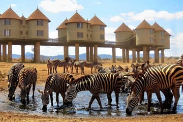 3 Days Saltlick And Tsavo West Luxury safari From Nairobi