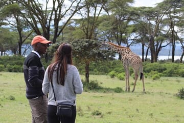 Crescent Island Walking Safari and Boat Riding Tour