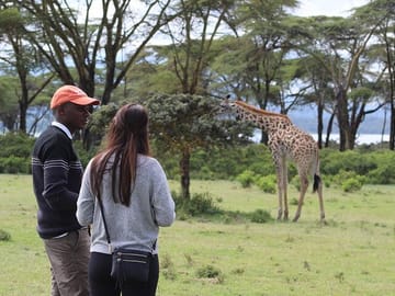 Nairobi Museum Snake Park Giraffe Center and Beads Center Tour