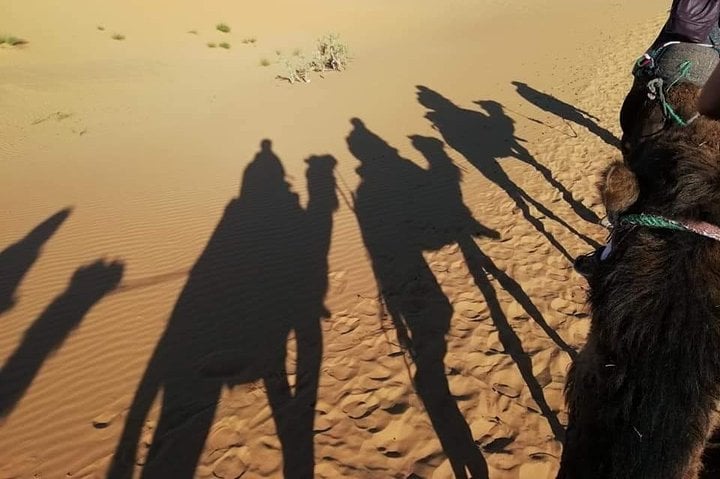 3 Days Fez to Marrakech via Sahara 4