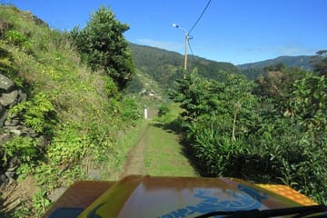 Farmers Market and 4WD Adventure in Caniço and Machico