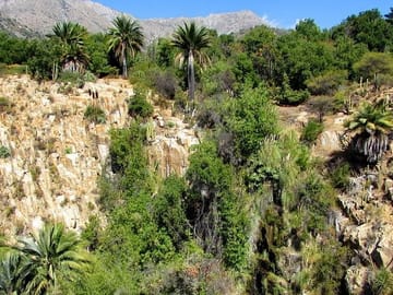 Private Full Day Trekking Tour at La Campana National Park