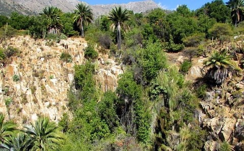 Private Full Day Trekking Tour at La Campana National Park