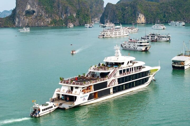Sea Octopus Cruise Day Trip From Hanoi With Express Bus