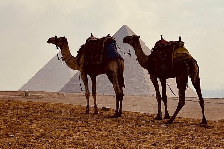 Cairo & Giza VIP Tour: Pyramids, Sphinx, Camel Ride & Felucca