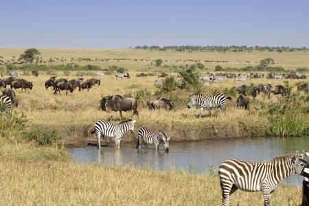 3-Day Amboseli and Tsavo West from Nairobi