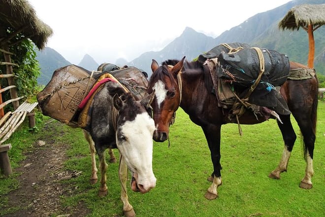 Trekking Friends