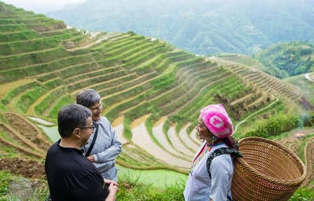 Longji Rice Terraced Fields and Minority Villages Hiking Tour