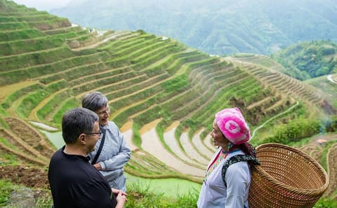 Longji Rice Terraced Fields and Minority Villages Hiking Tour