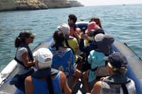Benagil Cave and Marinha Beach Boat Tour from Portimao 7