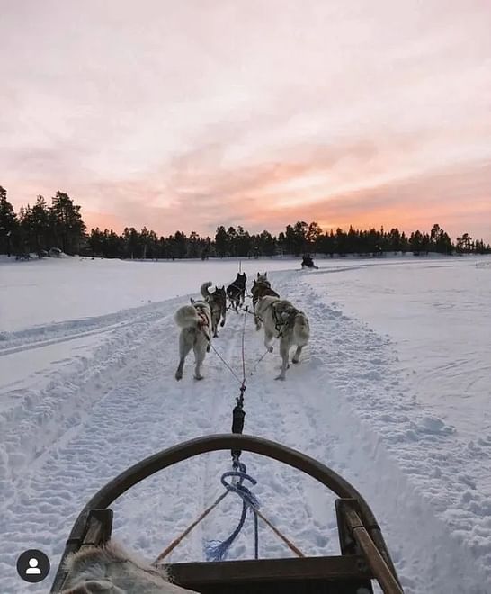 4-5 km SMALL MUSHER EXPERIENCE